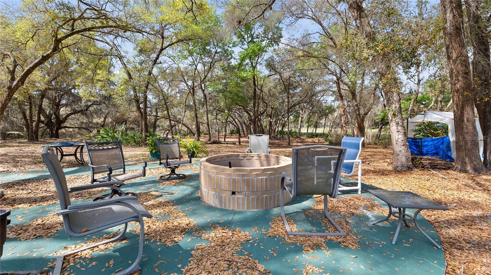 23321 N BUCKHILL RD, HOWEY IN THE HILLS, FL, 34737