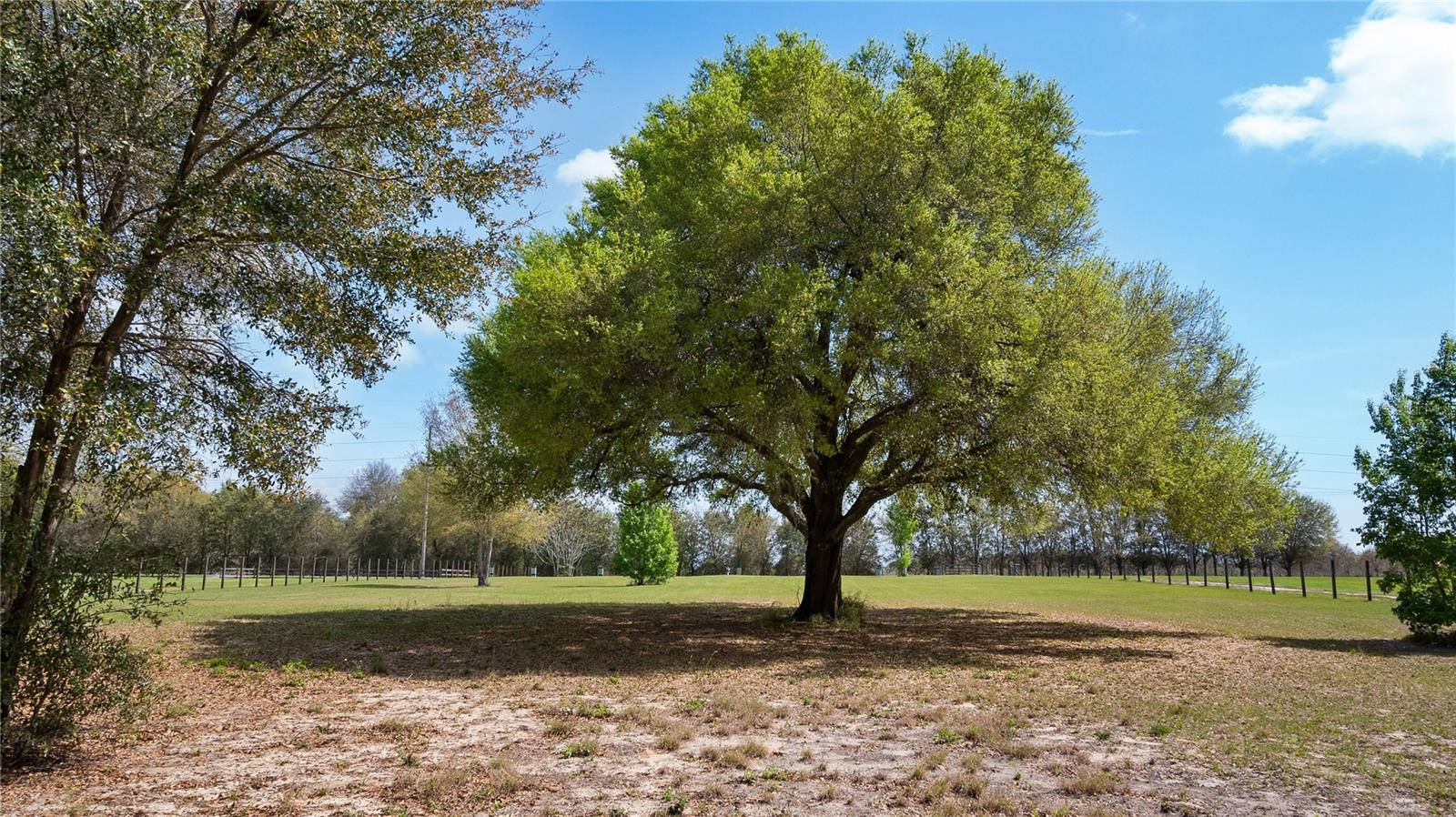 23321 N BUCKHILL RD, HOWEY IN THE HILLS, FL, 34737