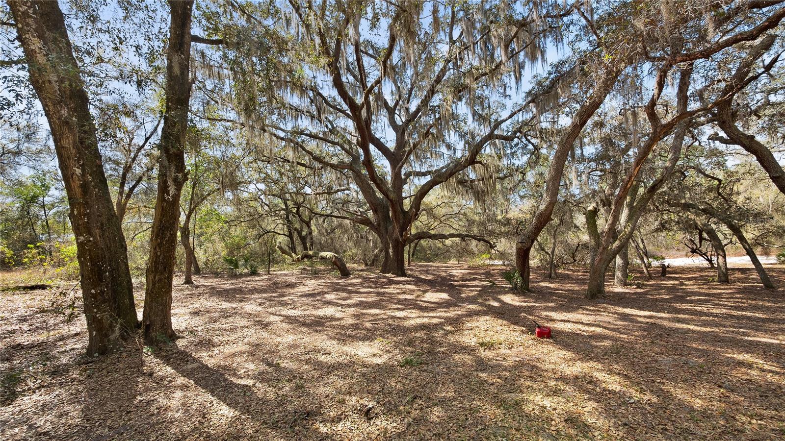 23321 N BUCKHILL RD, HOWEY IN THE HILLS, FL, 34737