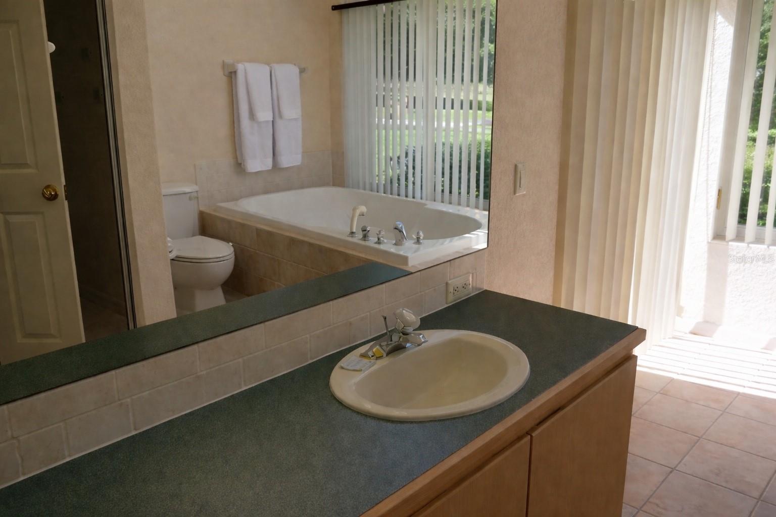12624 LAKE DENISE BLVD, CLERMONT, FL, 34711