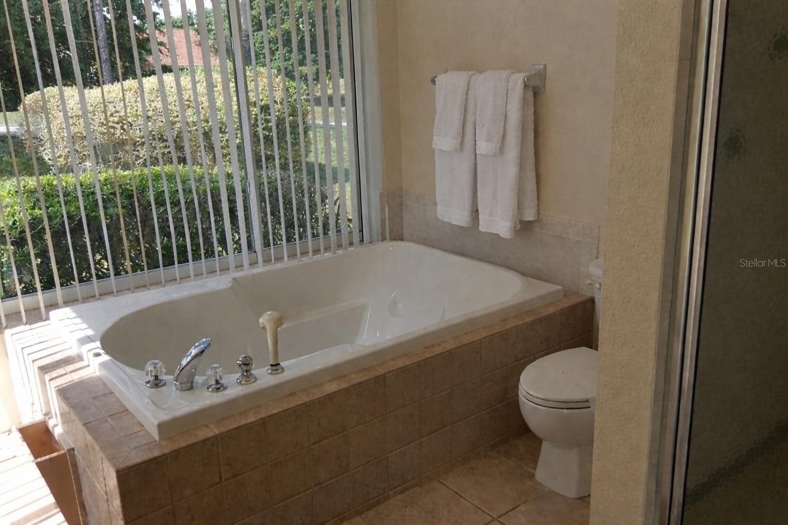 12624 LAKE DENISE BLVD, CLERMONT, FL, 34711