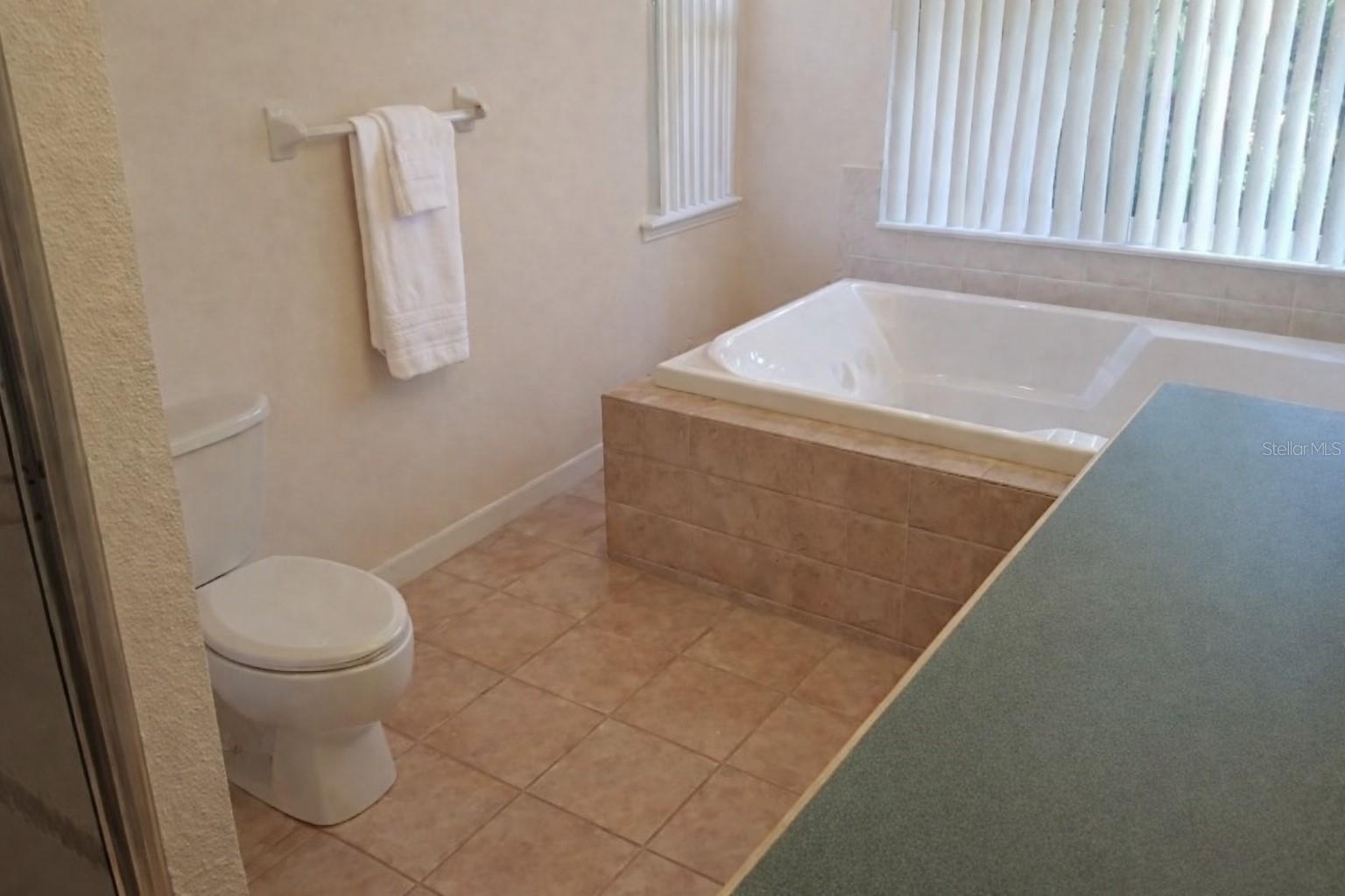 12624 LAKE DENISE BLVD, CLERMONT, FL, 34711
