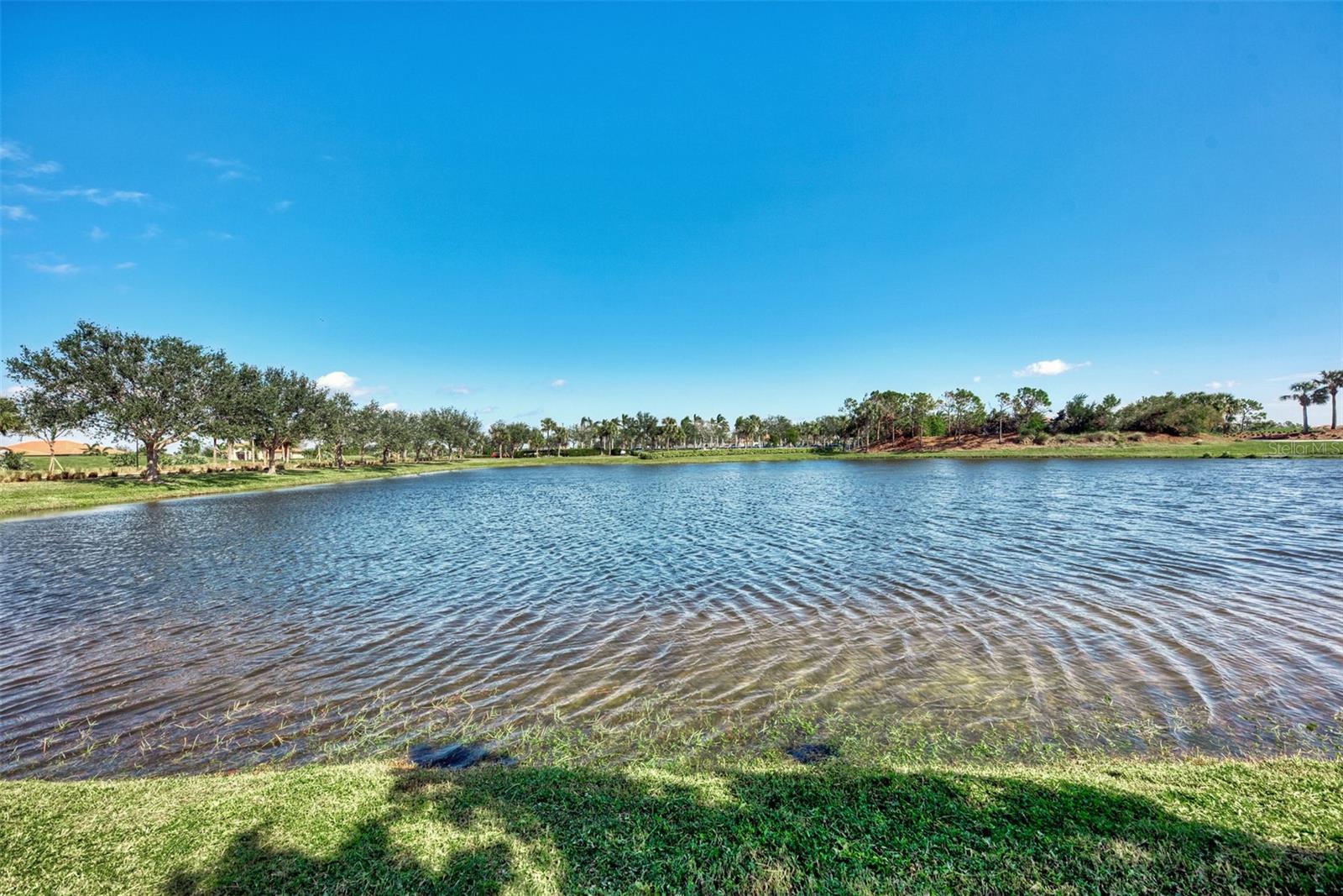 24144 GALLBERRY DR, VENICE, FL, 34293