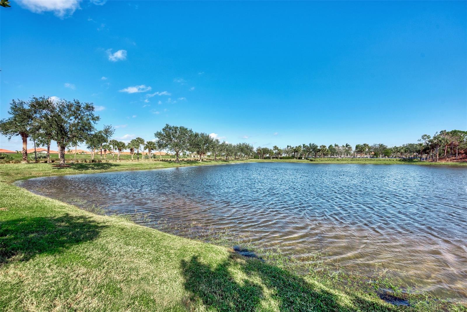 24144 GALLBERRY DR, VENICE, FL, 34293