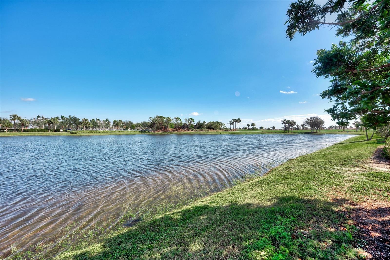 24144 GALLBERRY DR, VENICE, FL, 34293