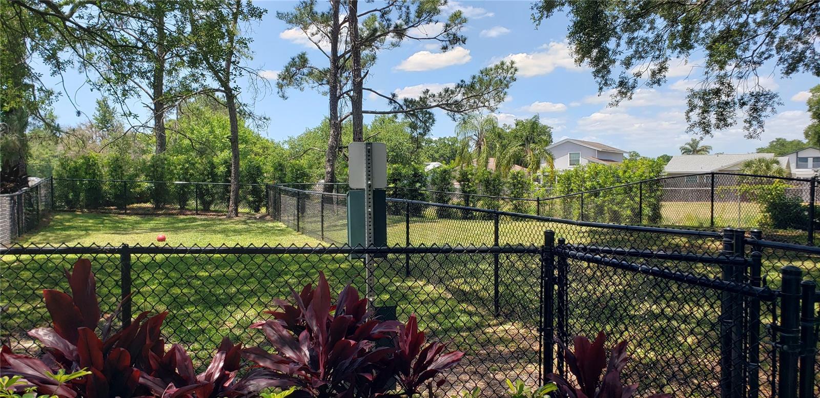 4211 CHATHAM OAK CT #104, TAMPA, FL, 33624