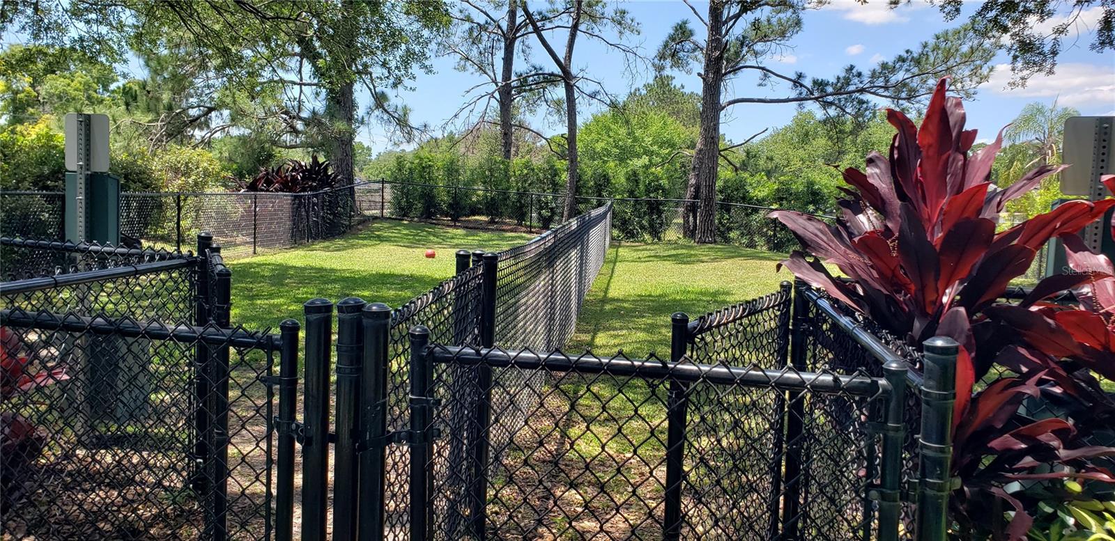 4211 CHATHAM OAK CT #104, TAMPA, FL, 33624