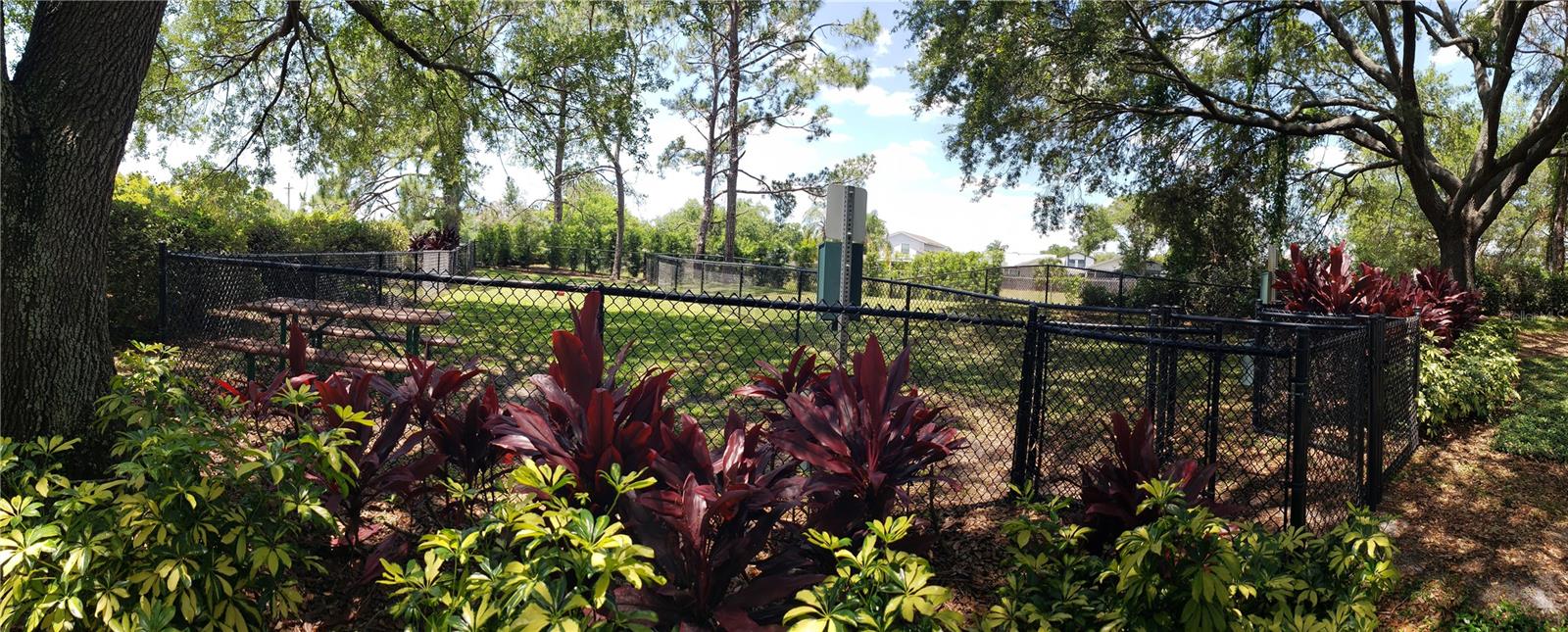 4211 CHATHAM OAK CT #104, TAMPA, FL, 33624