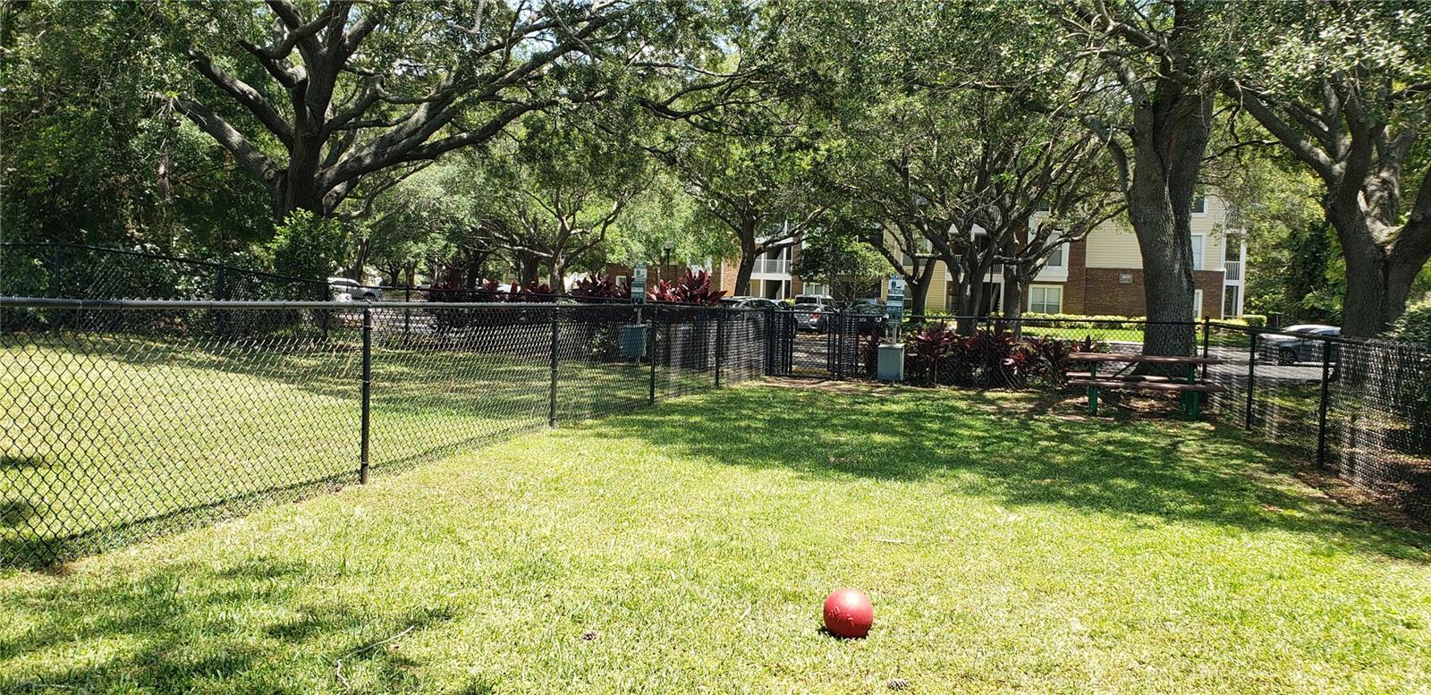 4211 CHATHAM OAK CT #104, TAMPA, FL, 33624