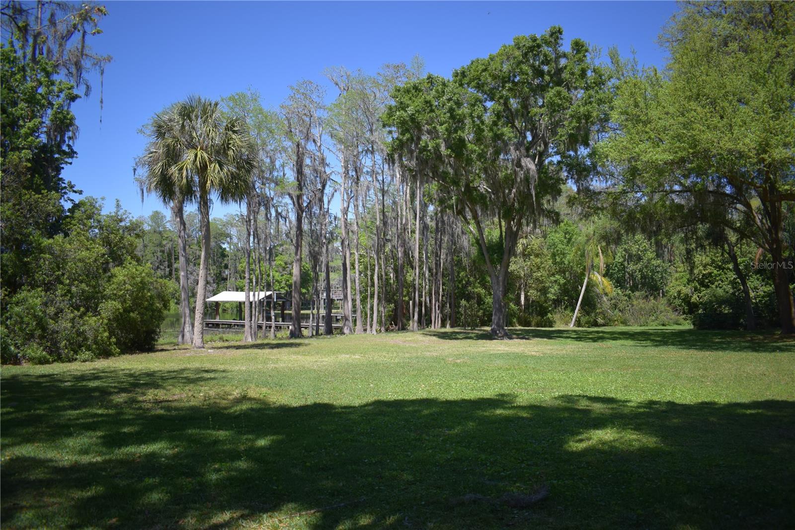 Side yard