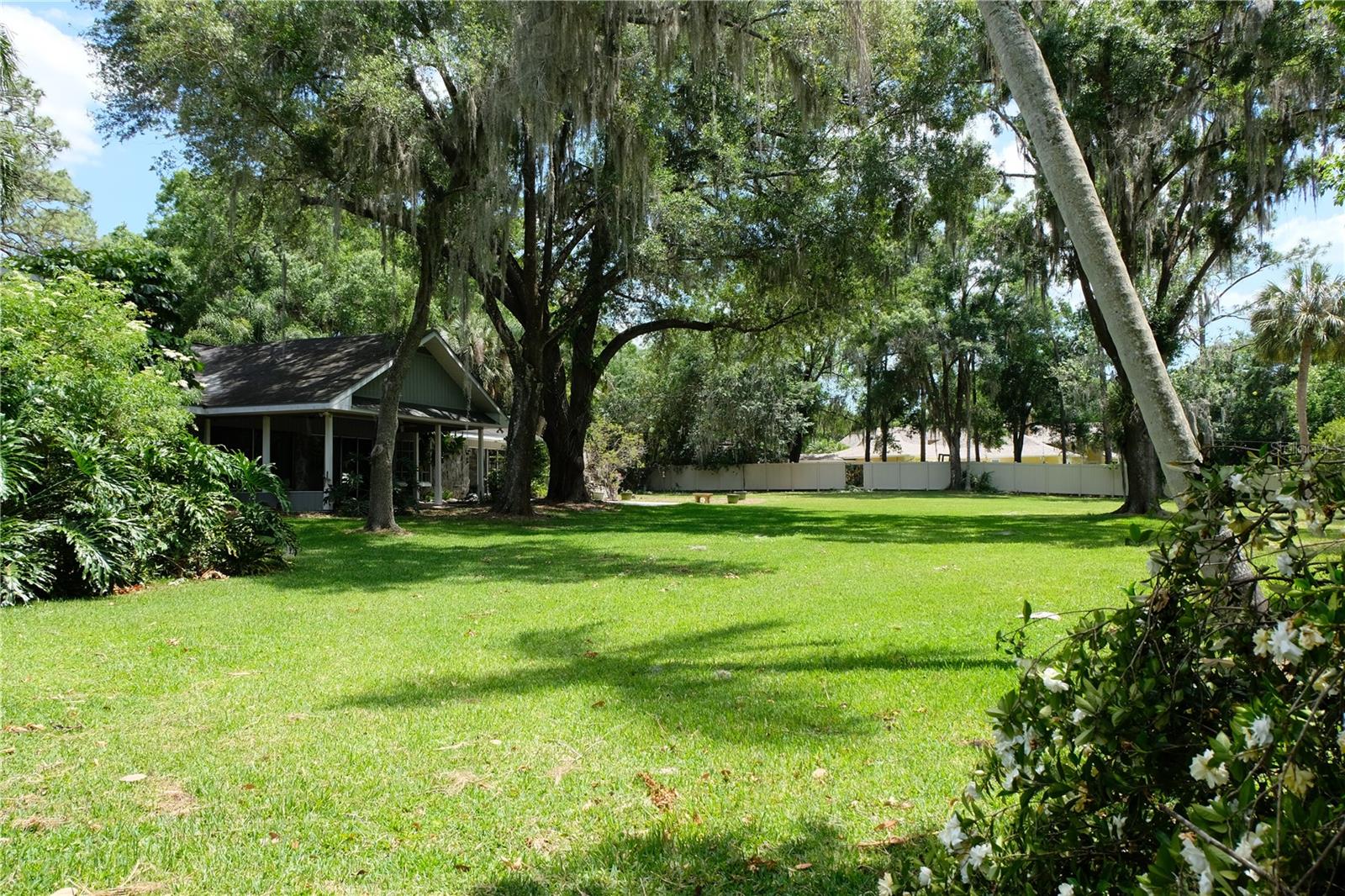 Back yard