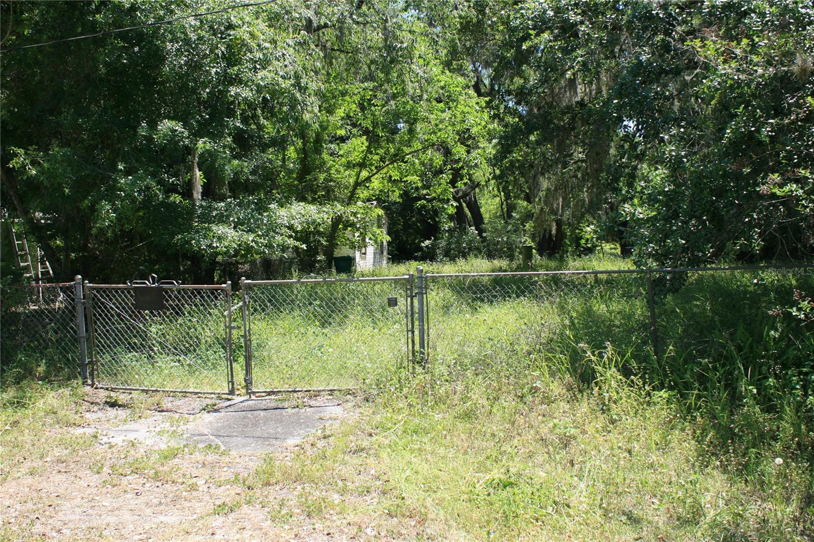 21646 NW 58TH CT, MICANOPY, FL, 32667