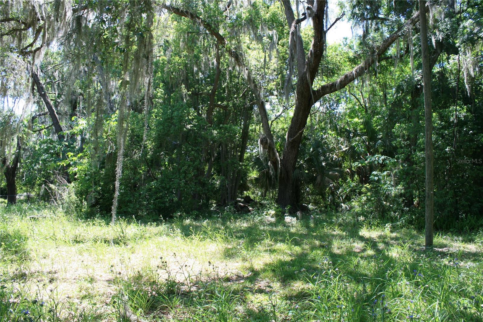 21646 NW 58TH CT, MICANOPY, FL, 32667