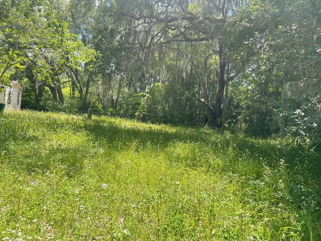 21646 NW 58TH CT, MICANOPY, FL, 32667