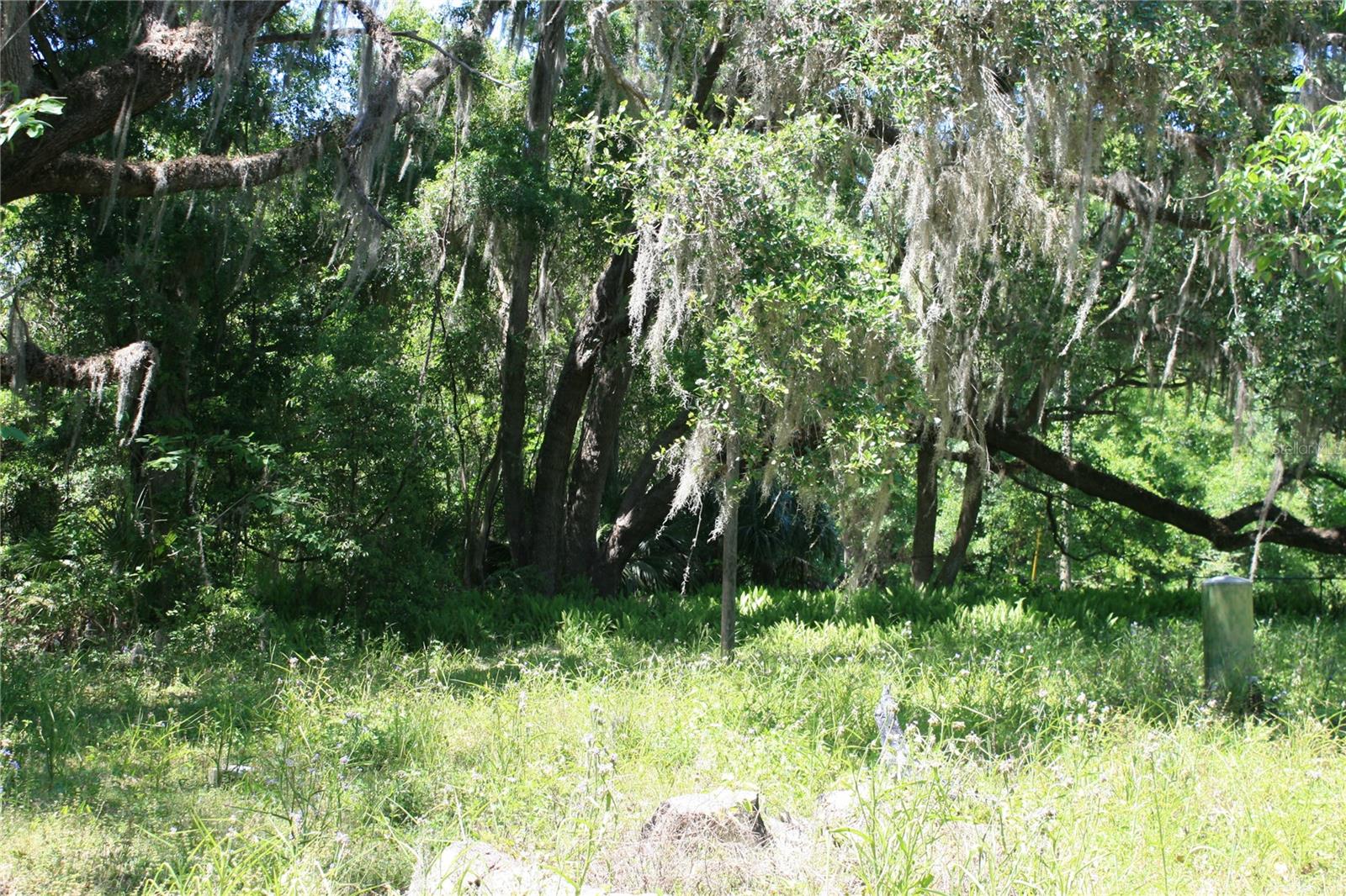 21646 NW 58TH CT, MICANOPY, FL, 32667