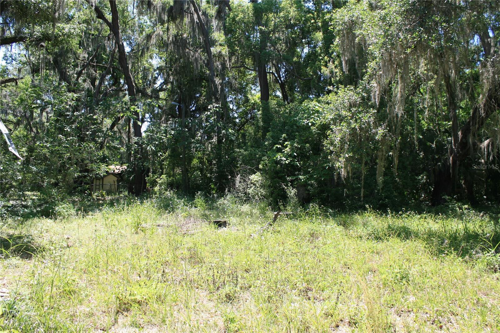 21646 NW 58TH CT, MICANOPY, FL, 32667
