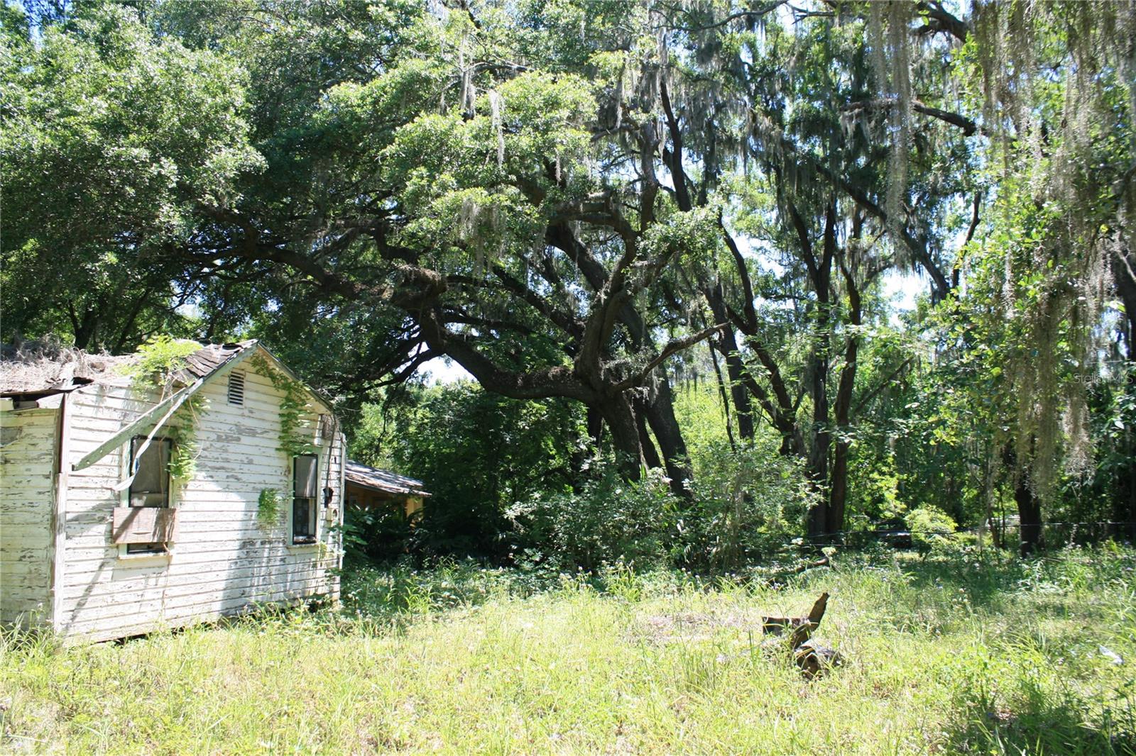 21646 NW 58TH CT, MICANOPY, FL, 32667