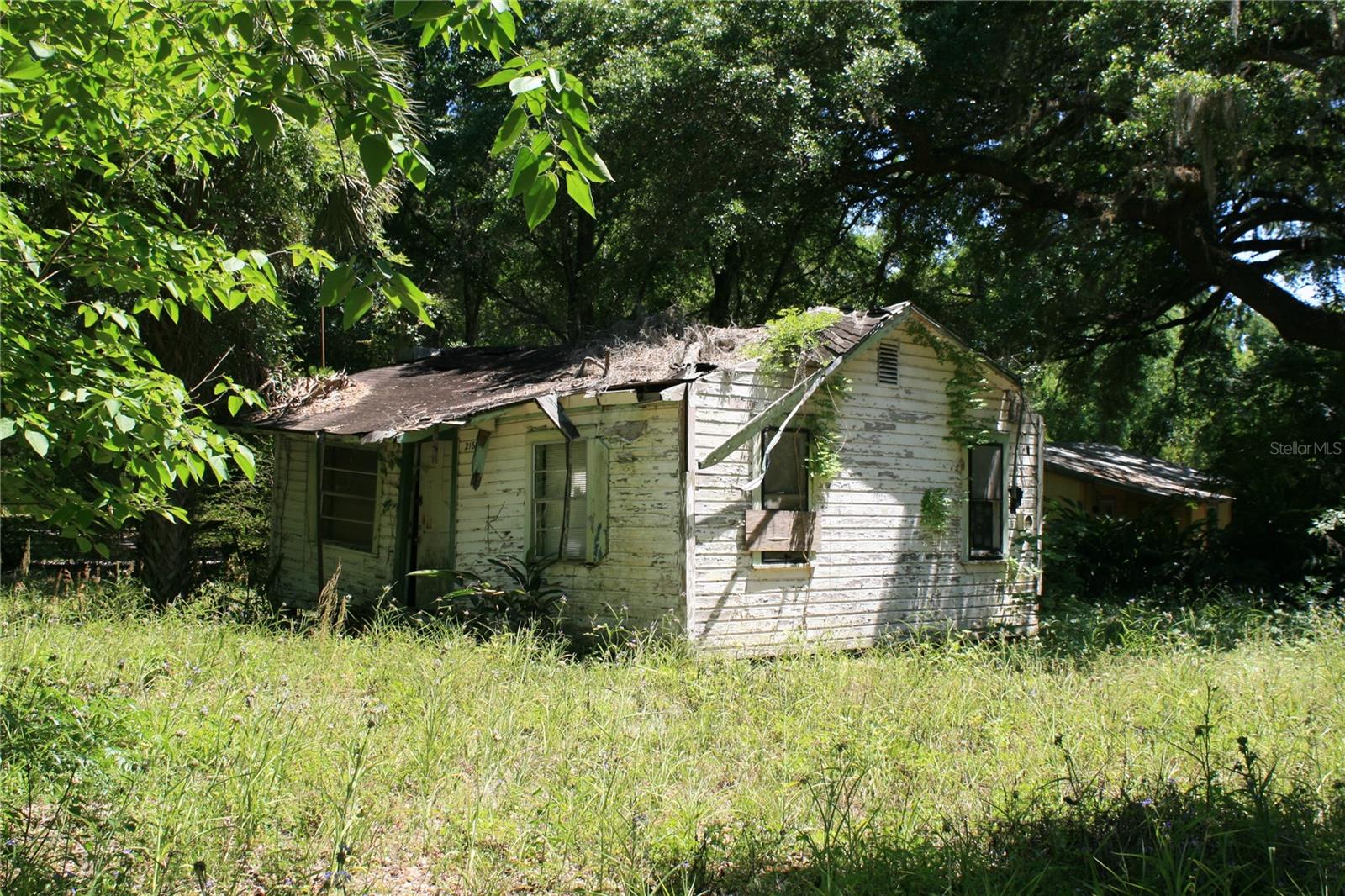 21646 NW 58TH CT, MICANOPY, FL, 32667