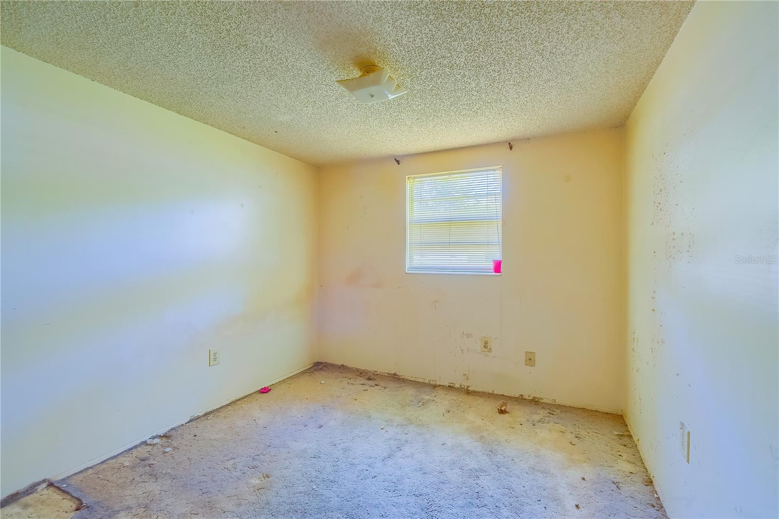 2429 CR 451, LAKE PANASOFFKEE, FL, 33538