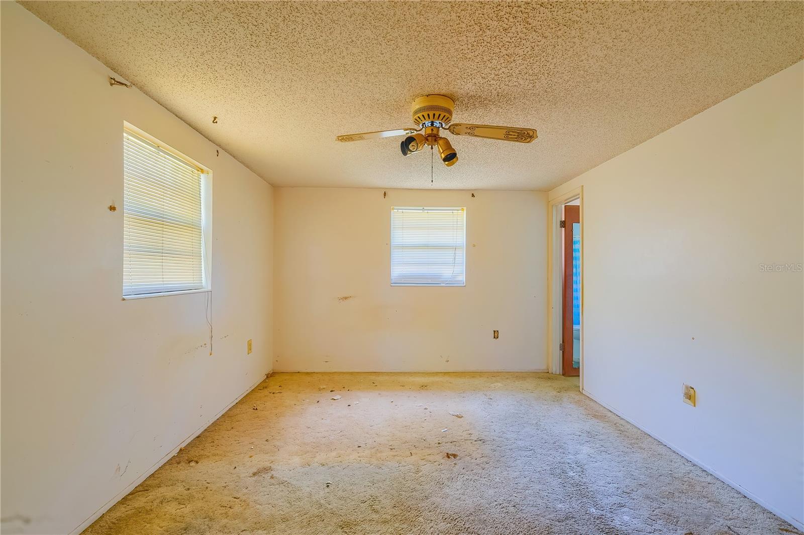 2429 CR 451, LAKE PANASOFFKEE, FL, 33538