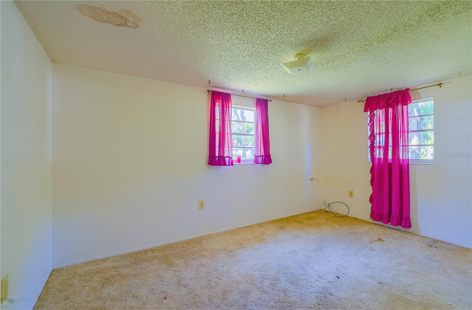 2429 CR 451, LAKE PANASOFFKEE, FL, 33538