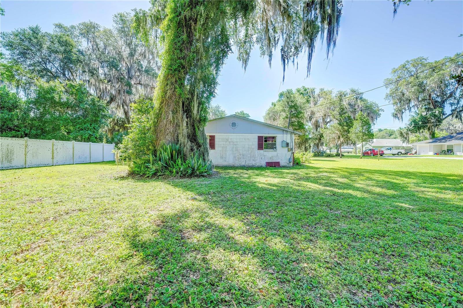 2429 CR 451, LAKE PANASOFFKEE, FL, 33538