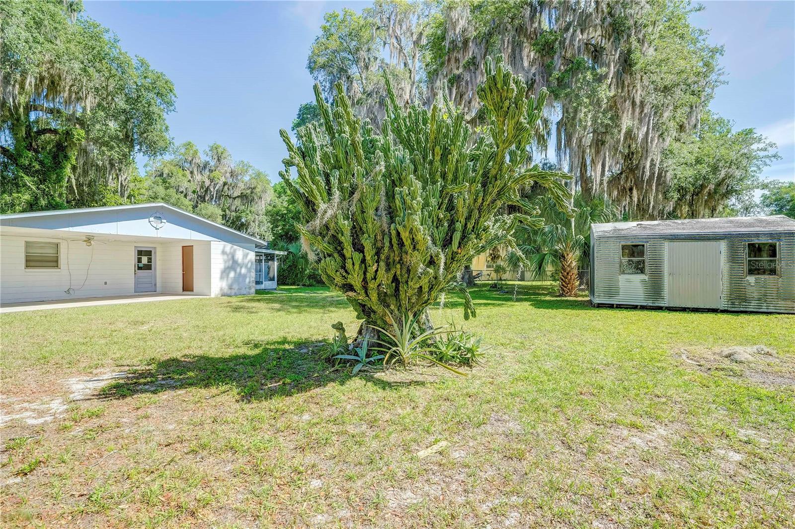 2429 CR 451, LAKE PANASOFFKEE, FL, 33538