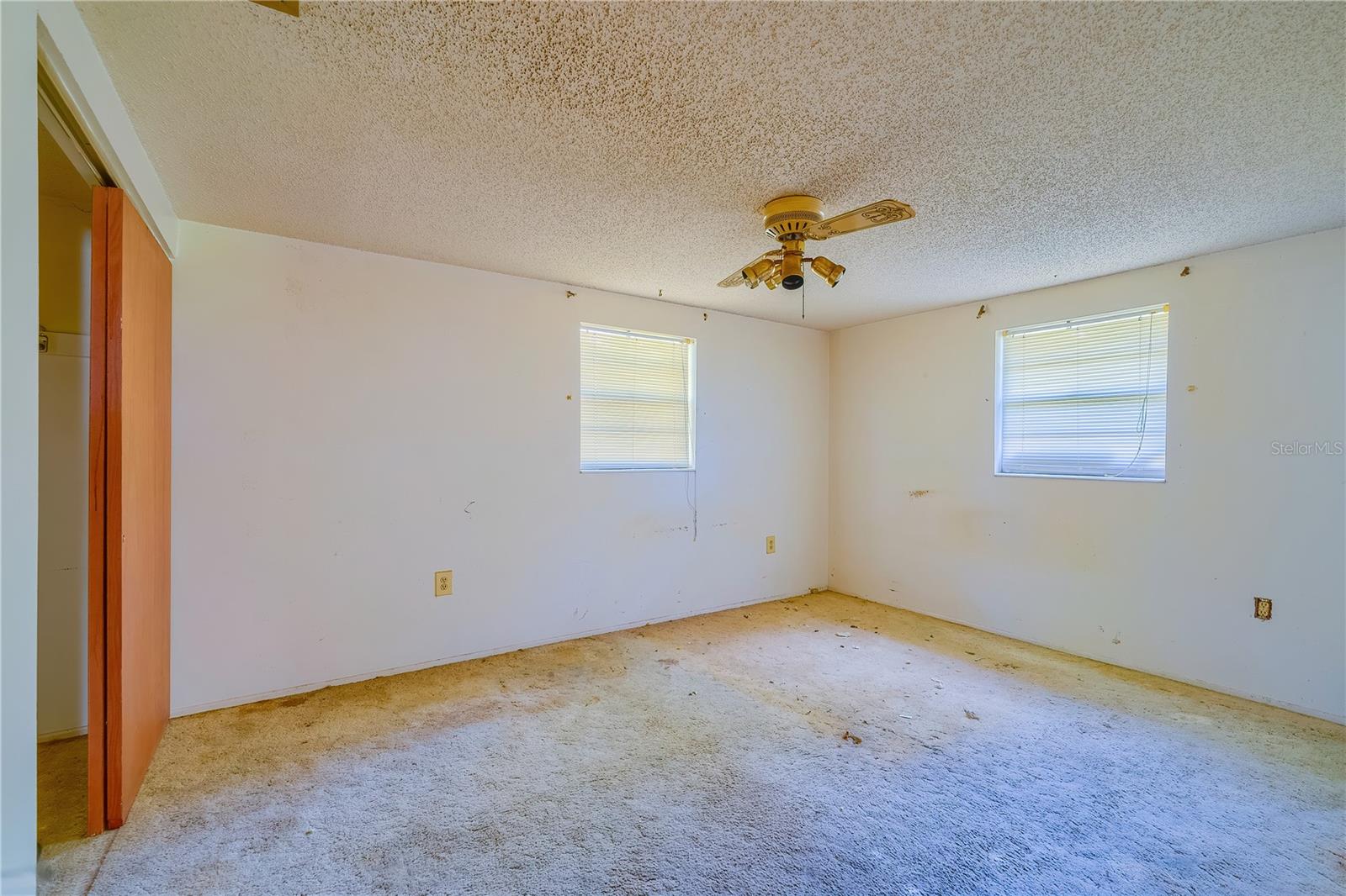 2429 CR 451, LAKE PANASOFFKEE, FL, 33538