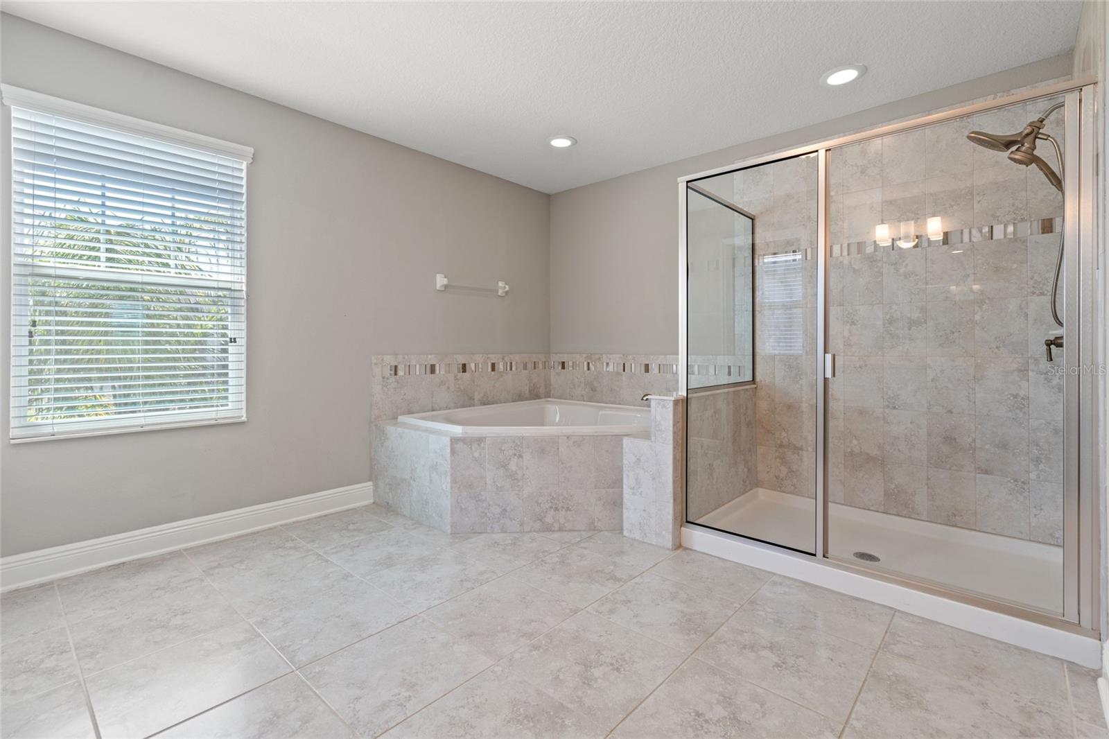 10320 STALLION FIELDS WAY, TAMPA, FL, 33647