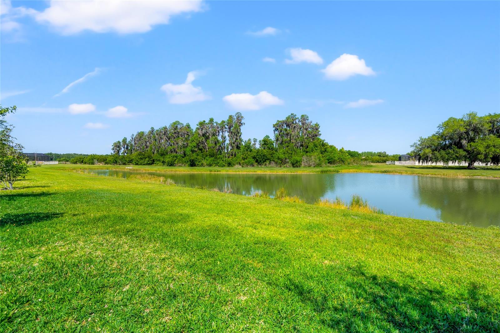10320 STALLION FIELDS WAY, TAMPA, FL, 33647
