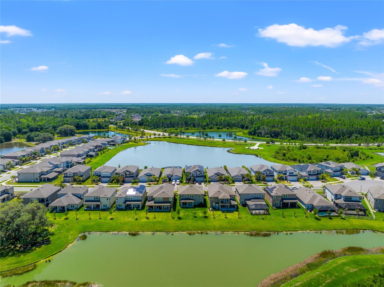 10320 STALLION FIELDS WAY, TAMPA, FL, 33647