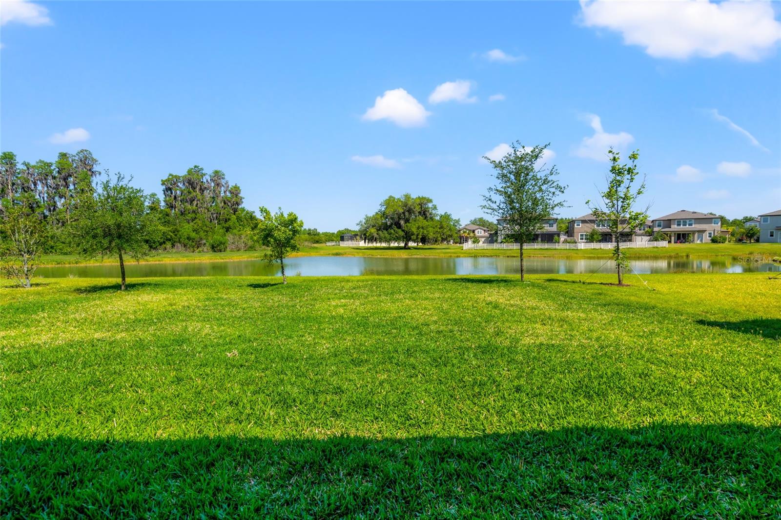 10320 STALLION FIELDS WAY, TAMPA, FL, 33647