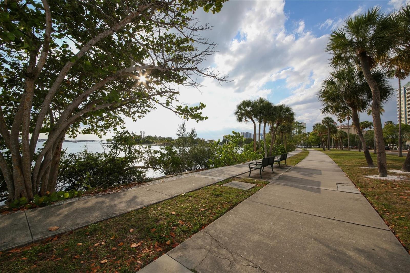 3544 PARKRIDGE CIR #31-203, SARASOTA, FL, 34243