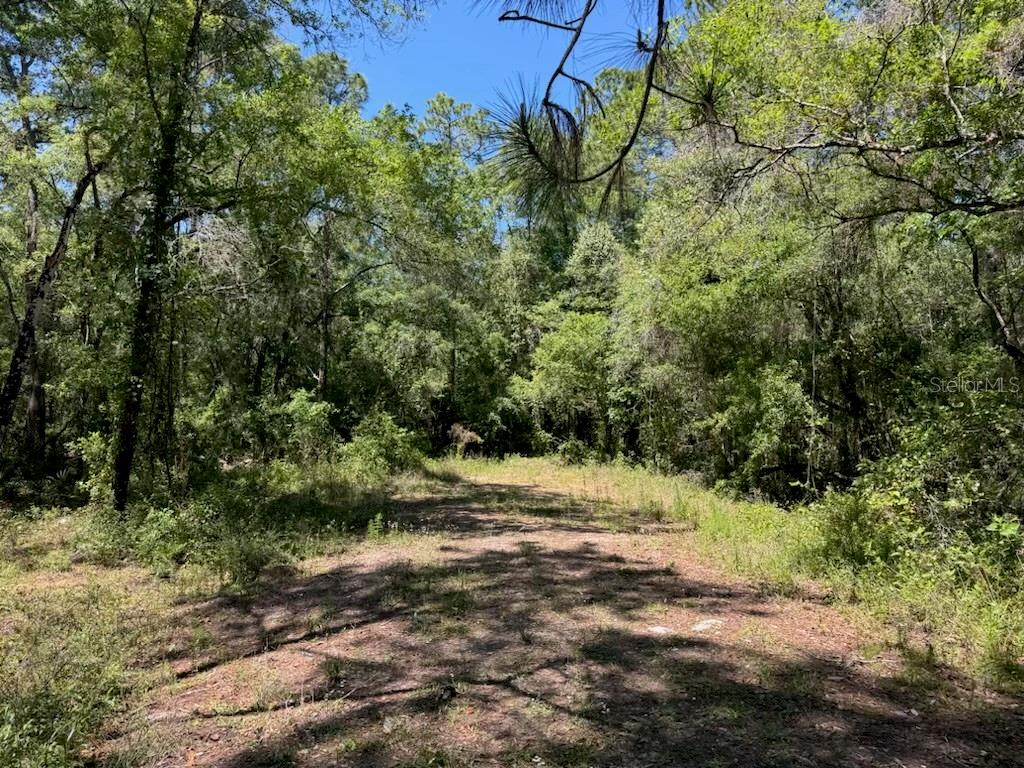 CITADEL DR, WEBSTER, FL, 33597