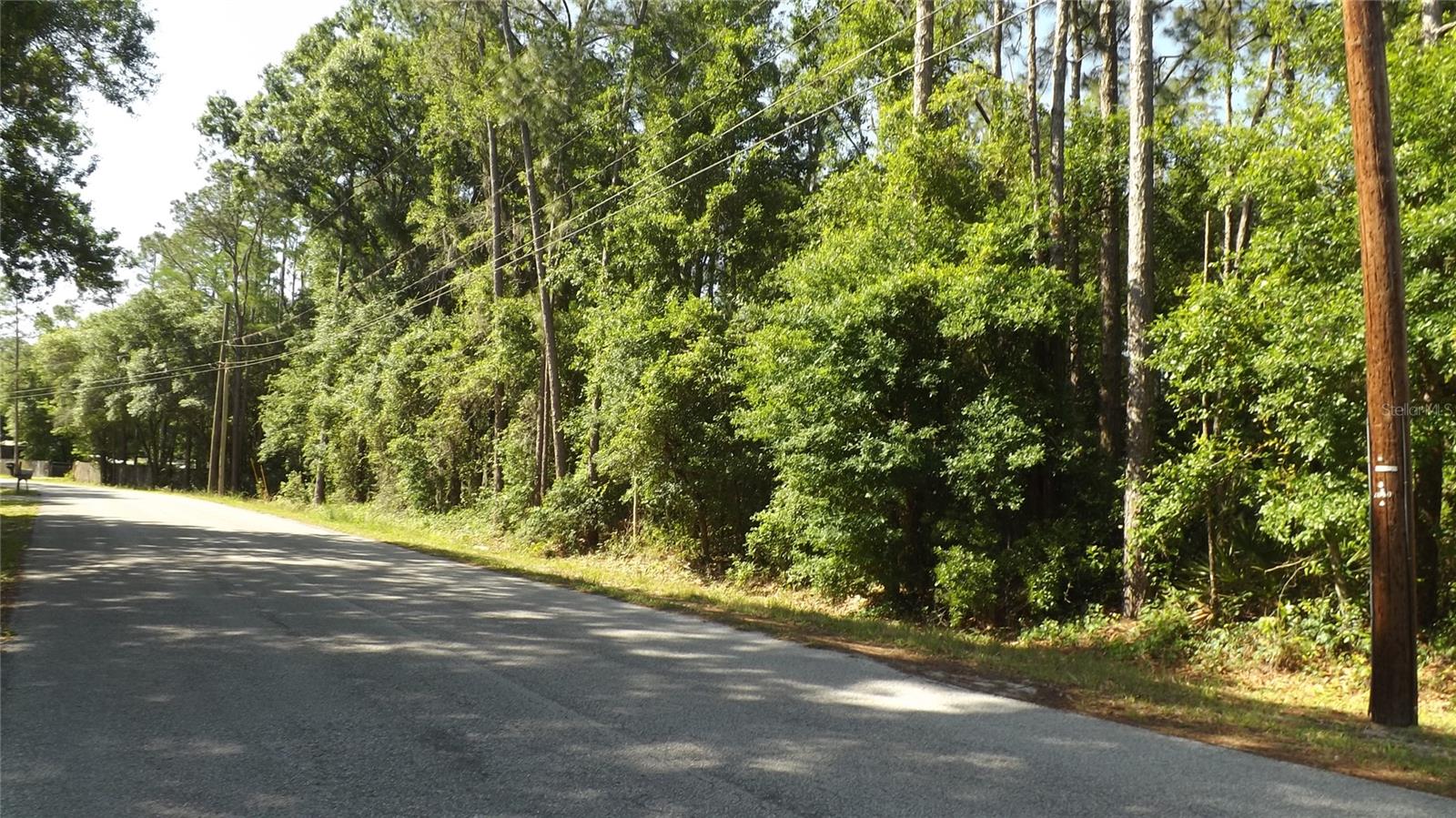 TRAILSWOOD PATH, LAKELAND, FL, 33809