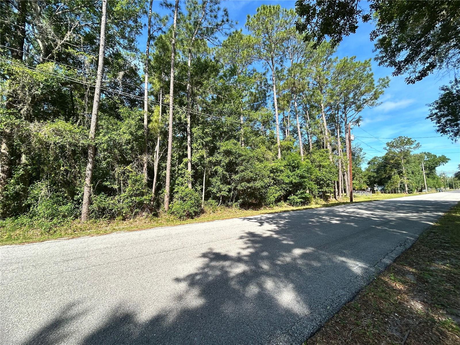 TRAILSWOOD PATH, LAKELAND, FL, 33809