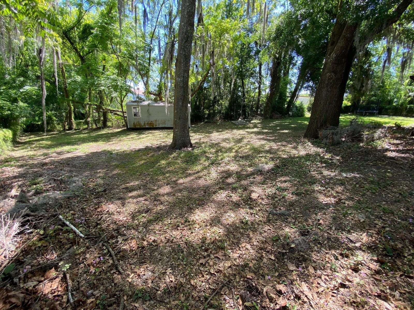 881 CEDAR CIR, TAVARES, FL, 32778