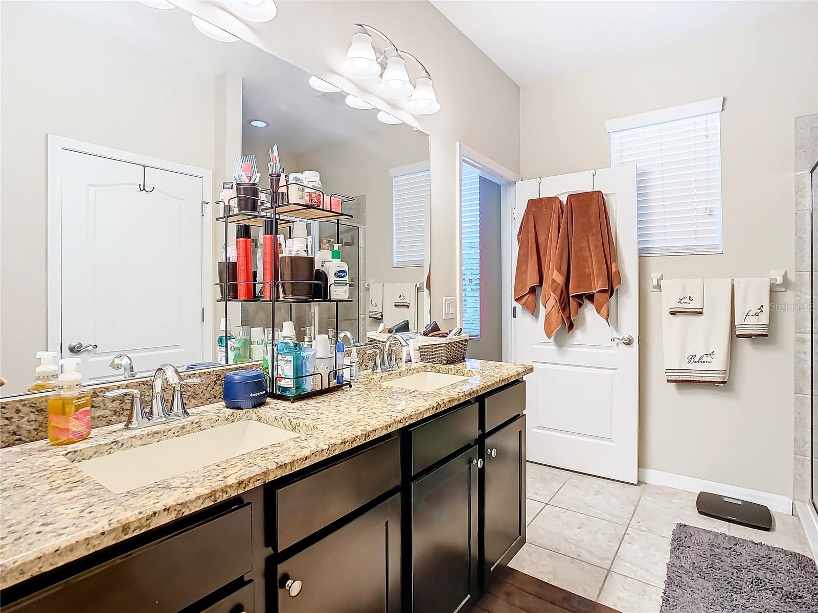 29405 COCHITI LAKE DR, SAN ANTONIO, FL, 33576