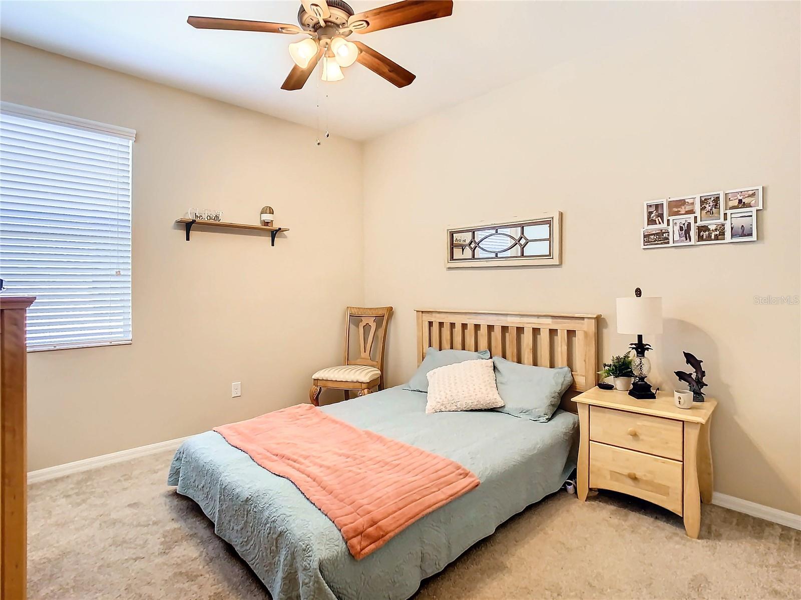 29405 COCHITI LAKE DR, SAN ANTONIO, FL, 33576