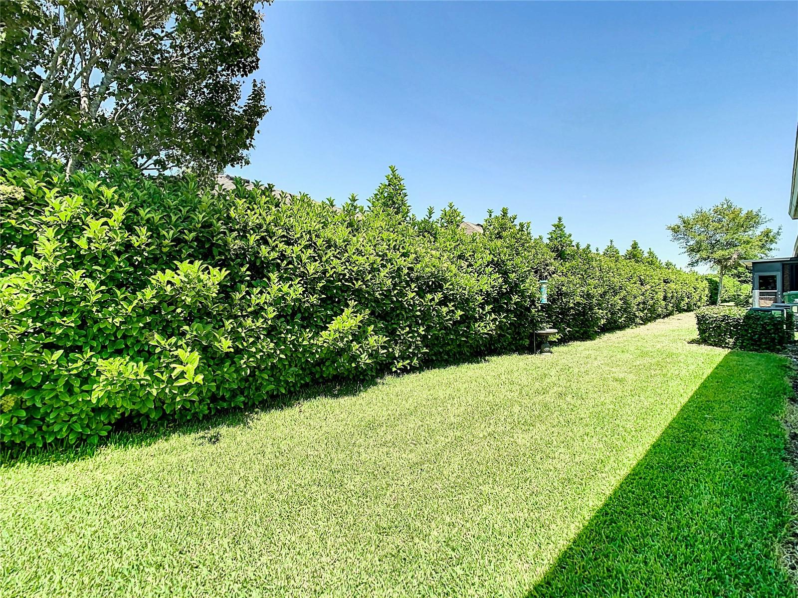 29405 COCHITI LAKE DR, SAN ANTONIO, FL, 33576