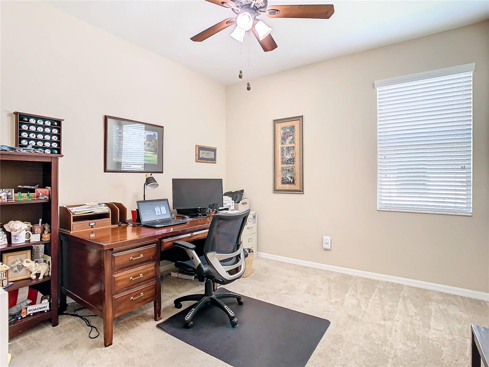 29405 COCHITI LAKE DR, SAN ANTONIO, FL, 33576