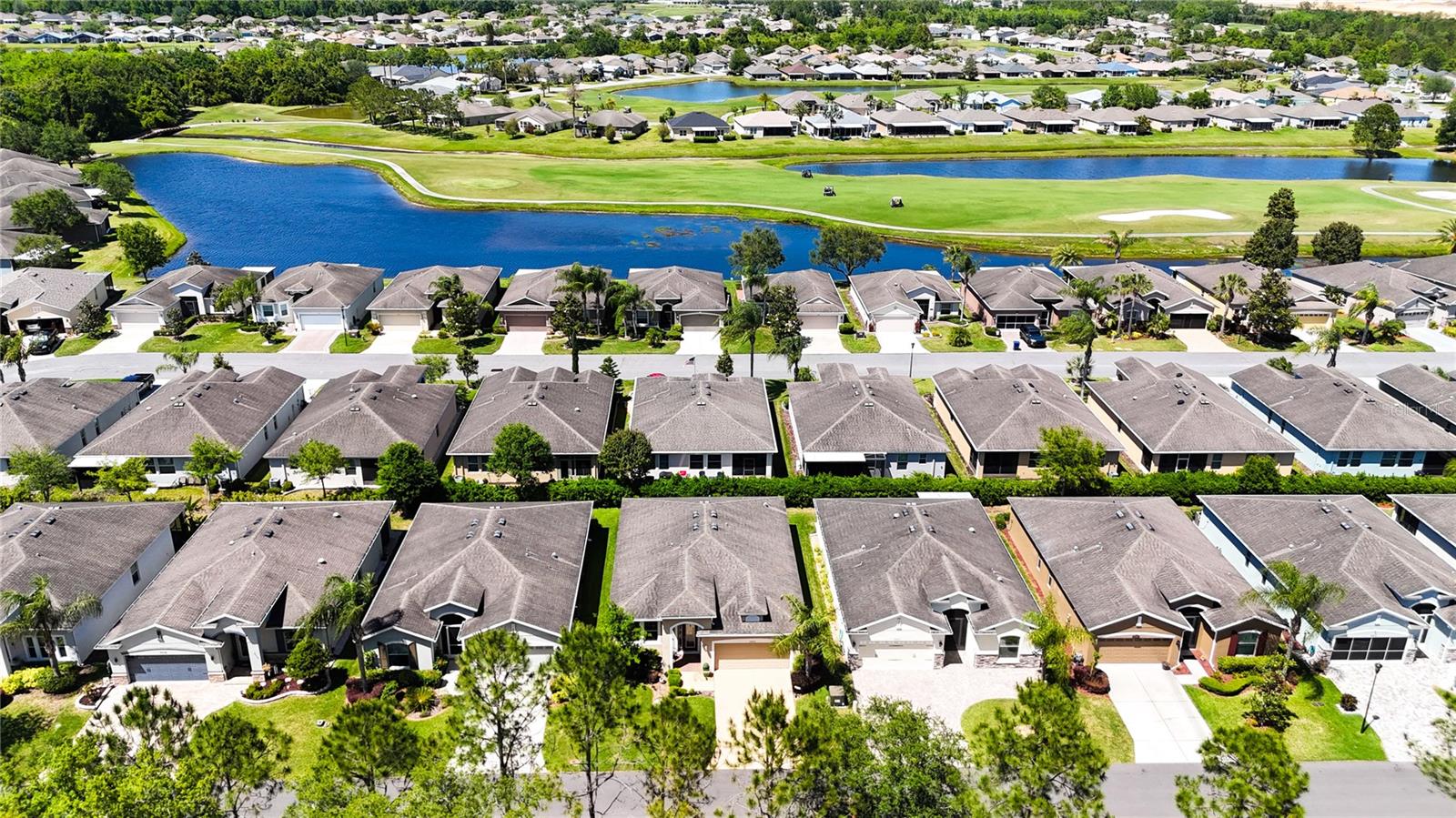 29405 COCHITI LAKE DR, SAN ANTONIO, FL, 33576