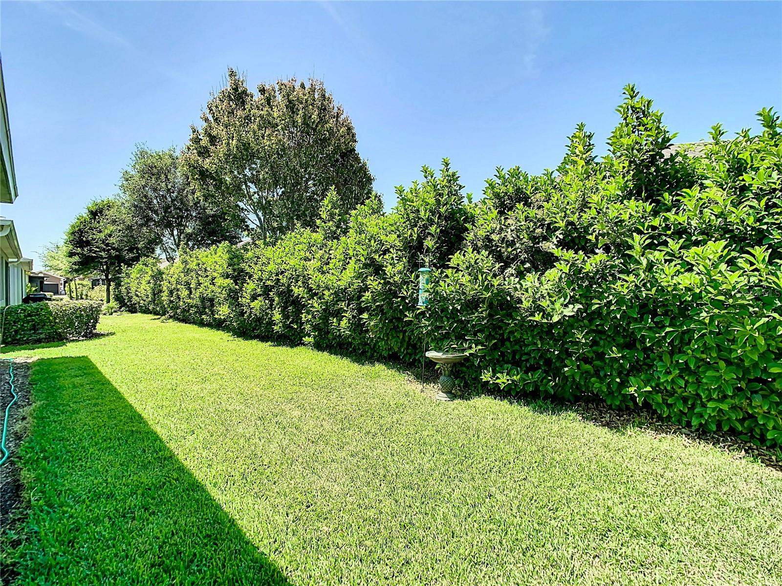 29405 COCHITI LAKE DR, SAN ANTONIO, FL, 33576
