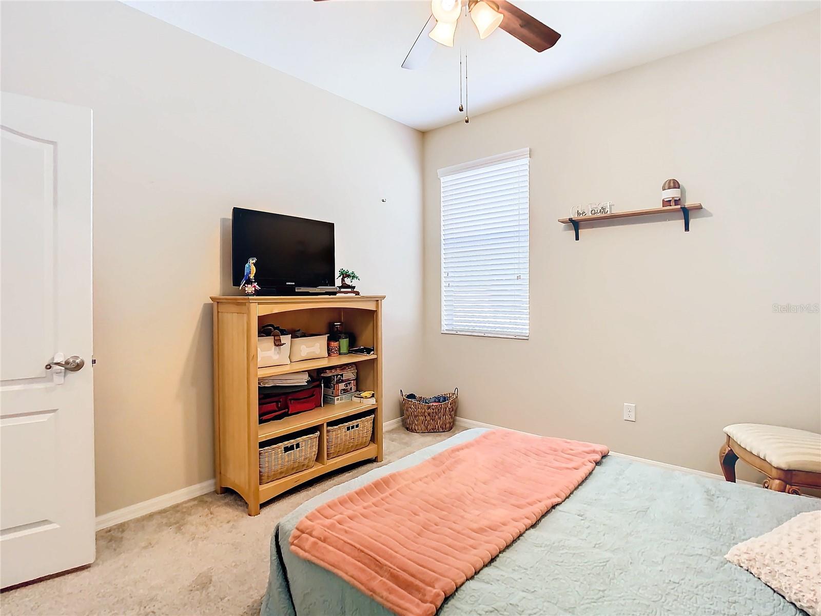 29405 COCHITI LAKE DR, SAN ANTONIO, FL, 33576