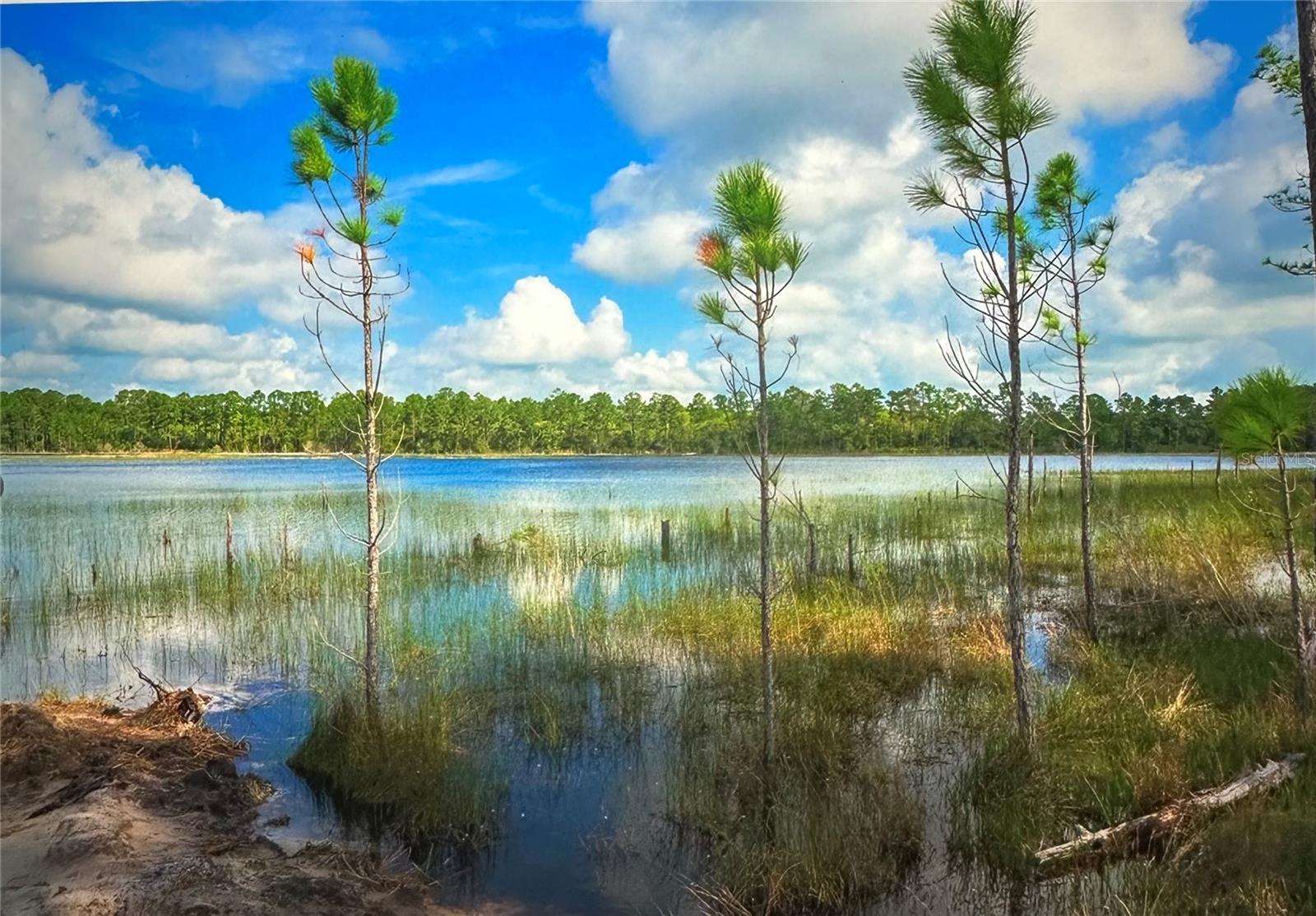 STATE ROAD 44, EUSTIS, FL, 32726