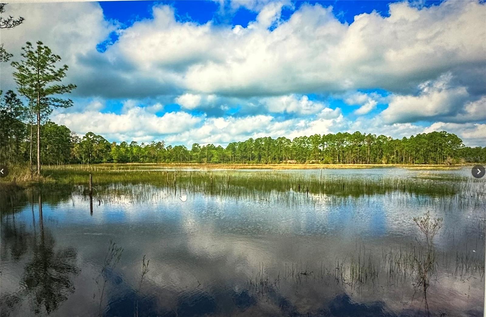 STATE ROAD 44, EUSTIS, FL, 32726