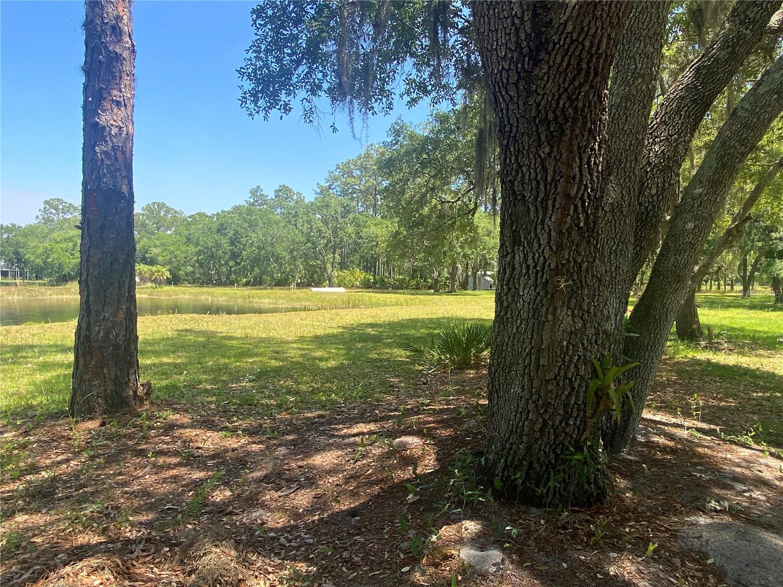 19507 HWY 60  E, LAKE WALES, FL, 33898