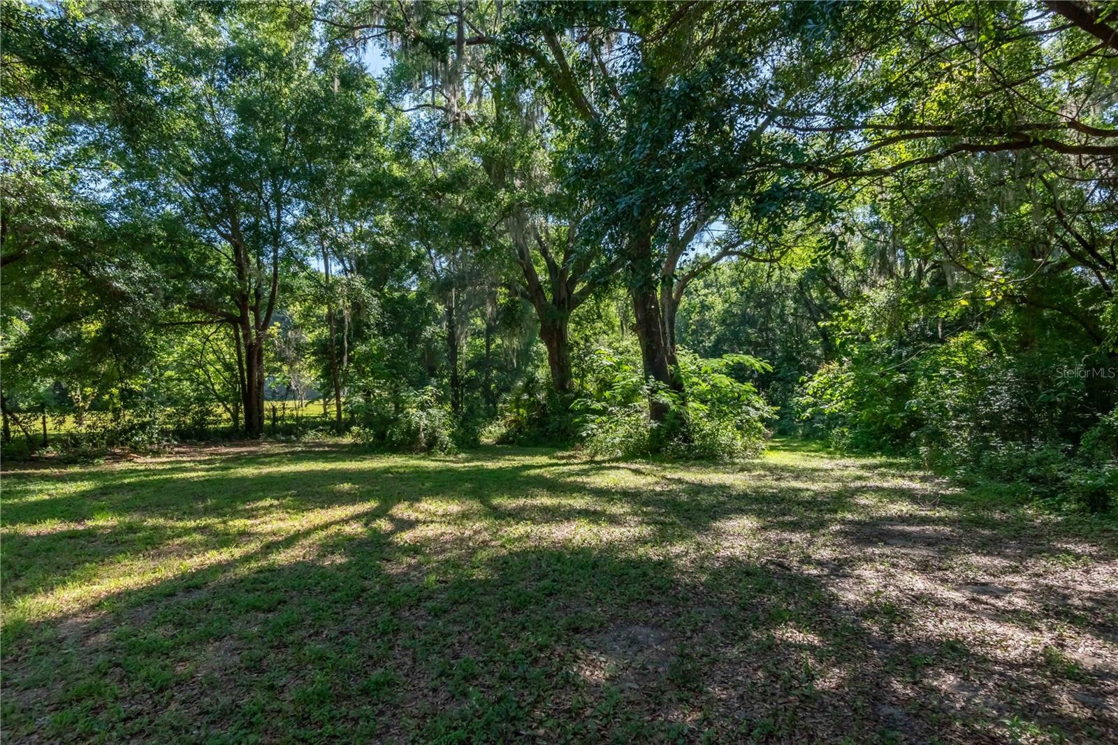 13881 NE JACKSONVILLE RD, CITRA, FL, 32113