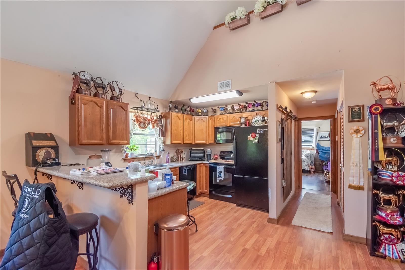 13881 NE JACKSONVILLE RD, CITRA, FL, 32113