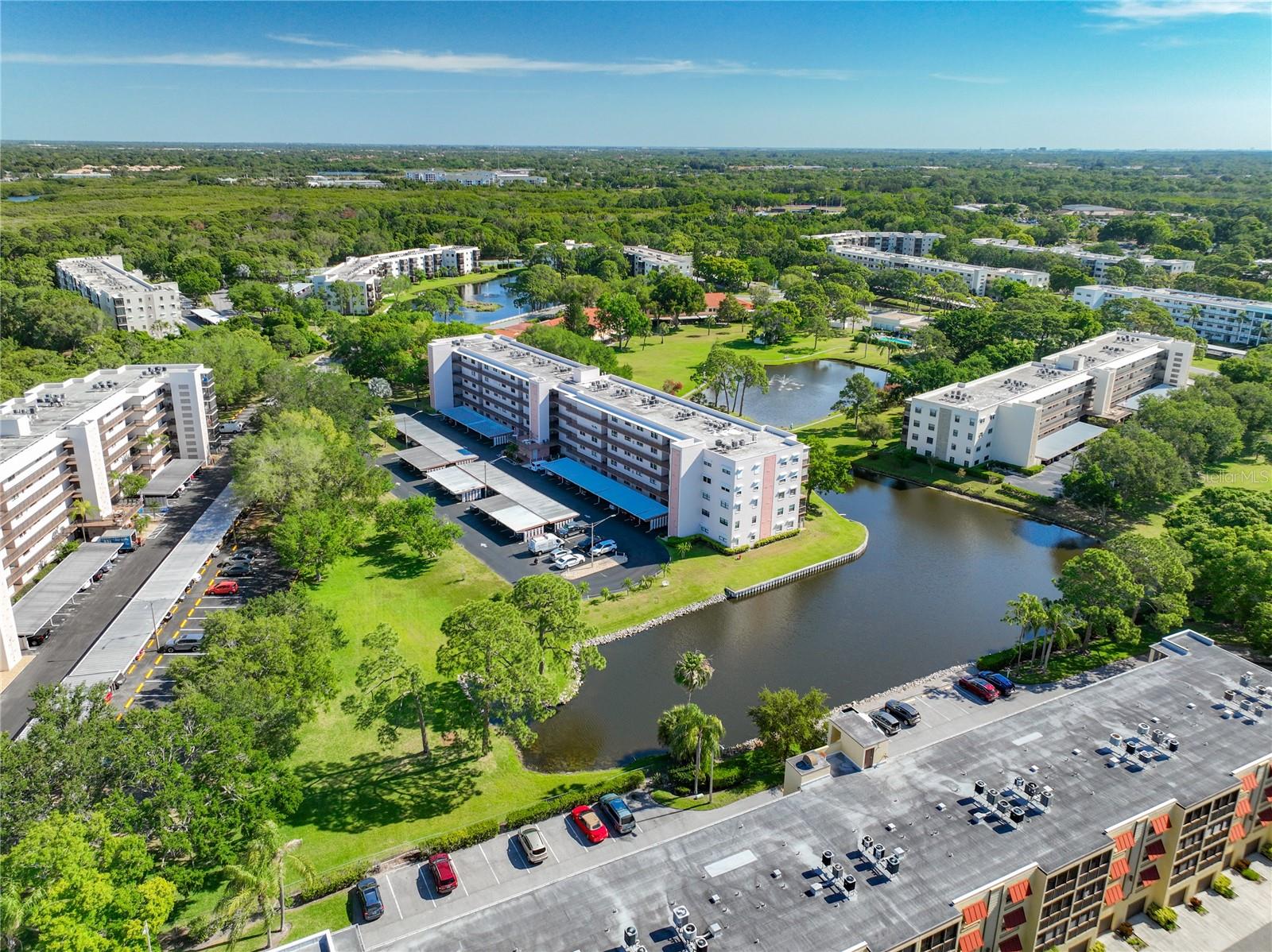 8174 TERRACE GARDEN DR N #207, ST PETERSBURG, FL, 33709